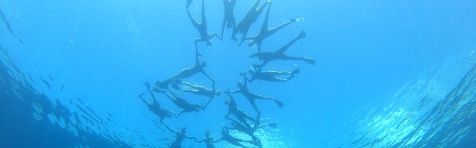 Students snorkeling on the surface of the water. The camera is positioned in a deep part of the ocean